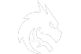 TSpirit